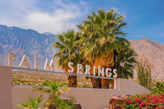 LGBT+ travel guide to Palm Springs, showcasing vibrant nightlife and attractions